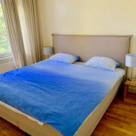 Large In A Great Neighbourhood Apartment